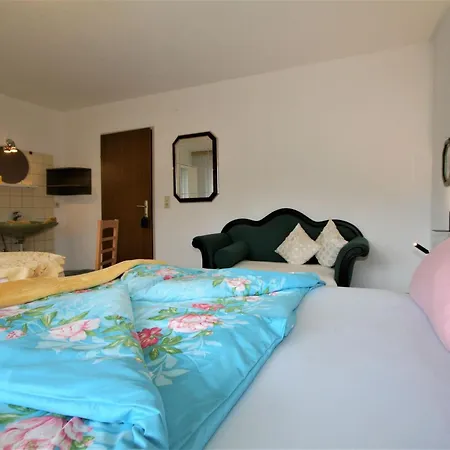 Hoellwarth By Interhome Daire